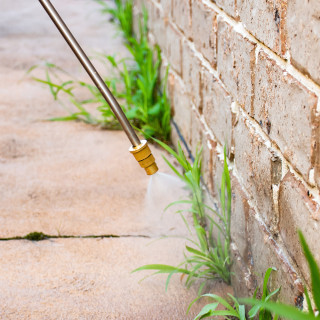 Weed & Pest Control Image